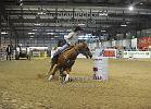 Liguori Gerry_Wonder Del Rancho